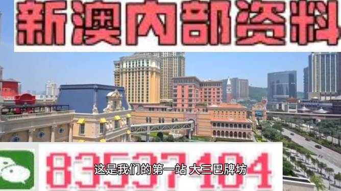 2024年新澳门免费资料-精选解释解析落实